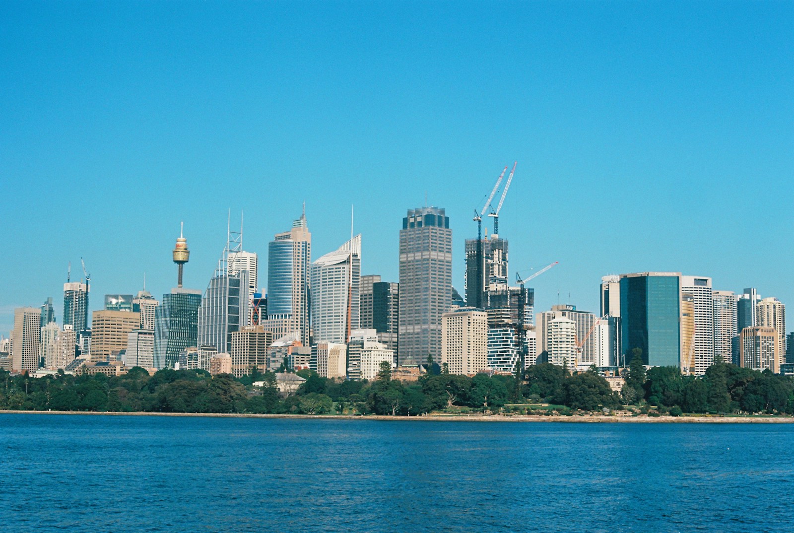 Australia Company Compliance: Annual Review, Records and Tax Return